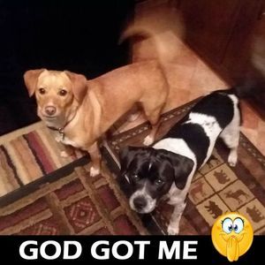 Meet your Posher, Diana